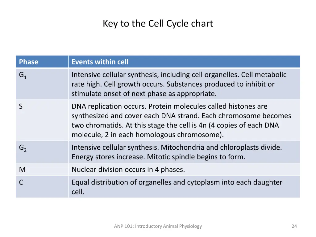 key to the cell cycle chart