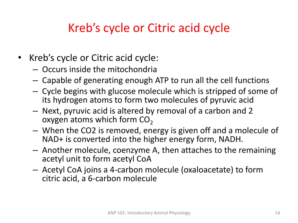 kreb s cycle or citric acid cycle