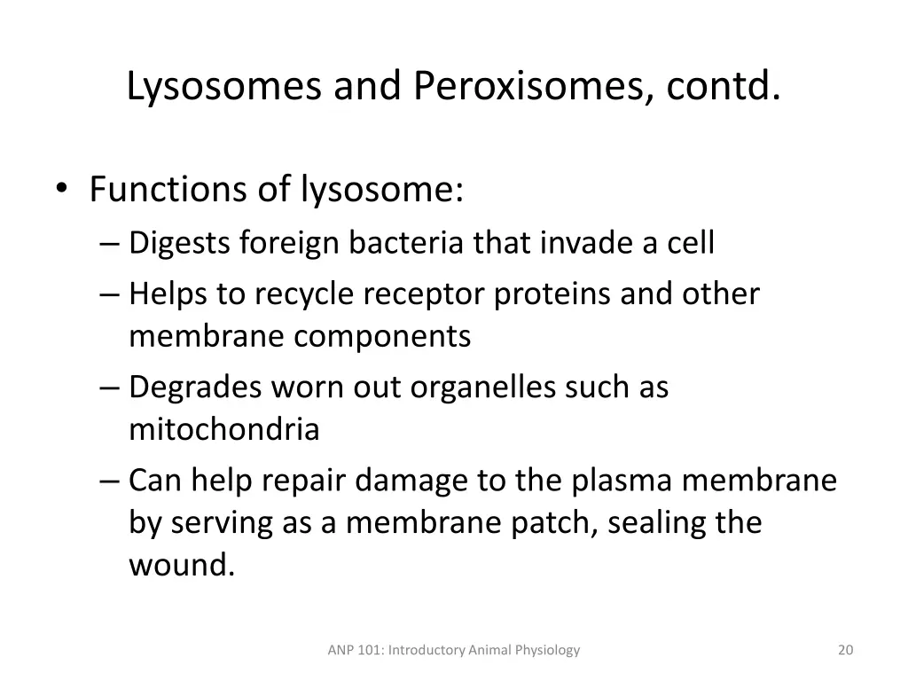 lysosomes and peroxisomes contd