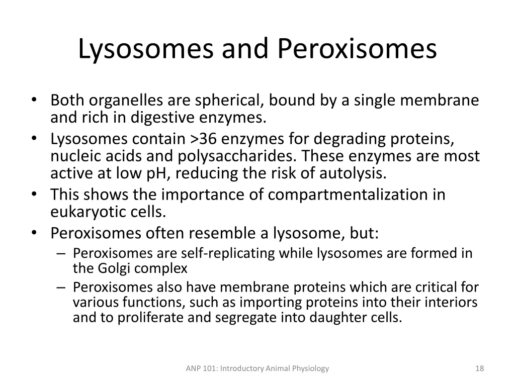 lysosomes and peroxisomes