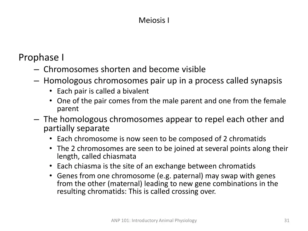 meiosis i