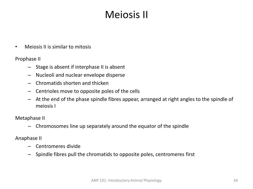 meiosis ii