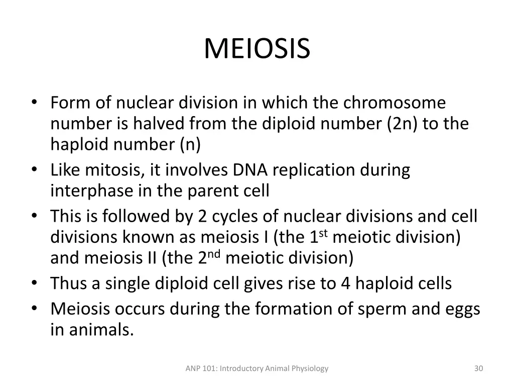 meiosis