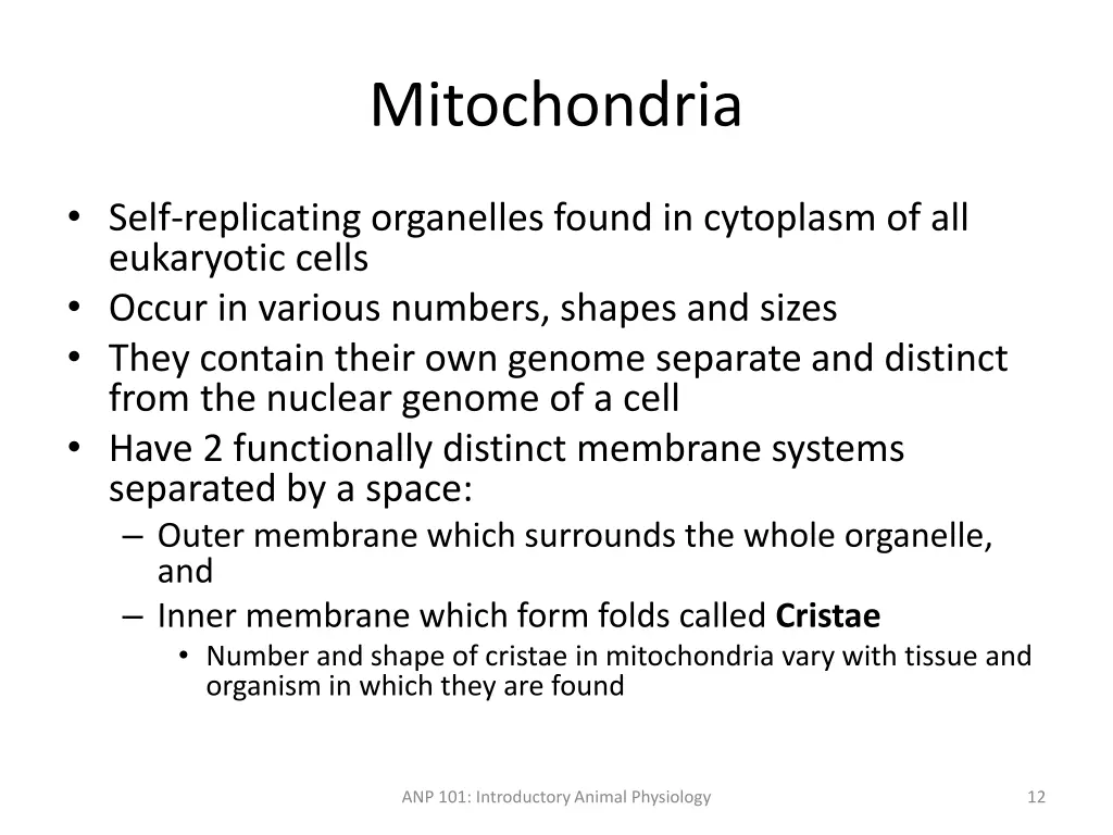 mitochondria