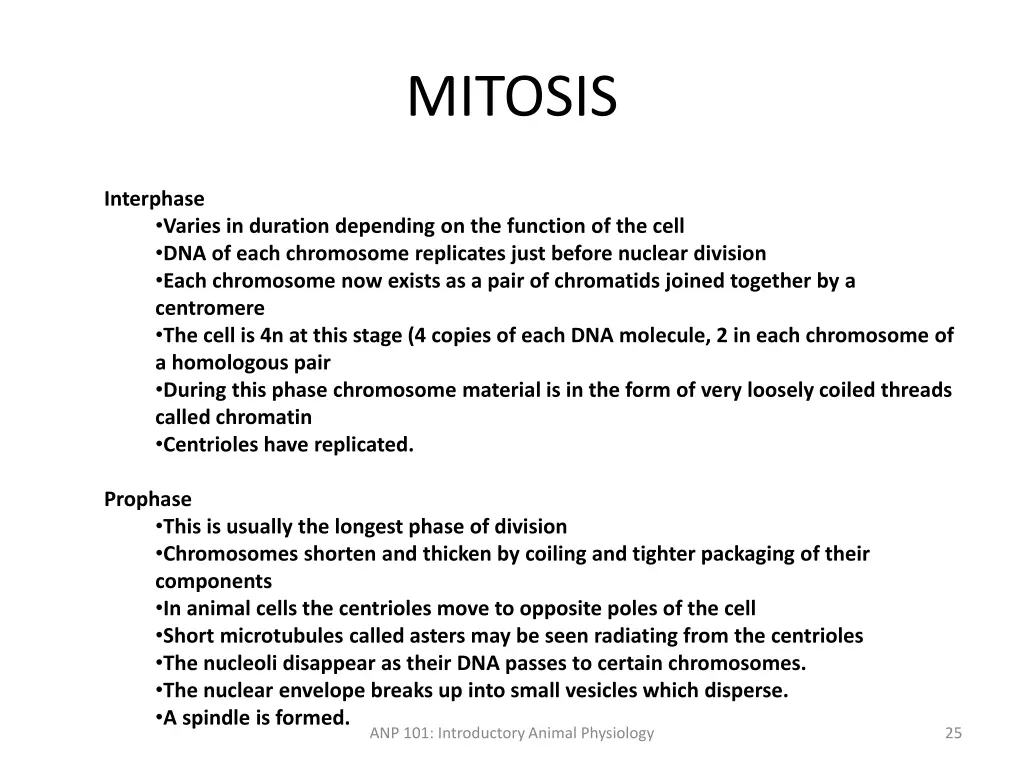 mitosis 1