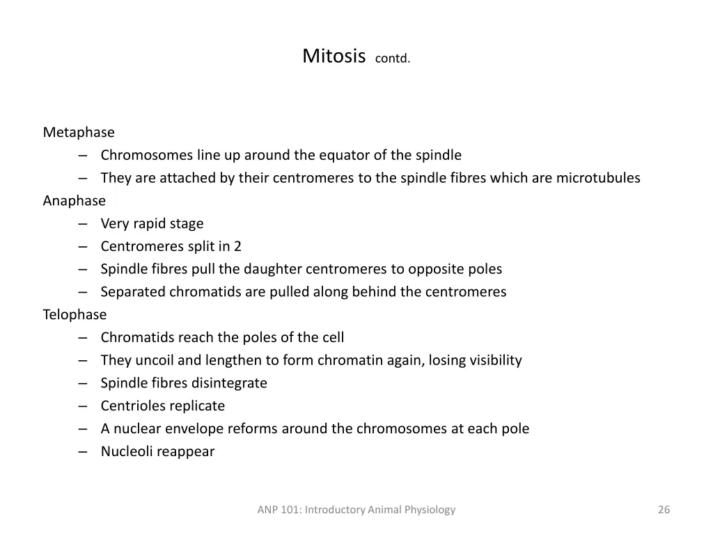 mitosis contd