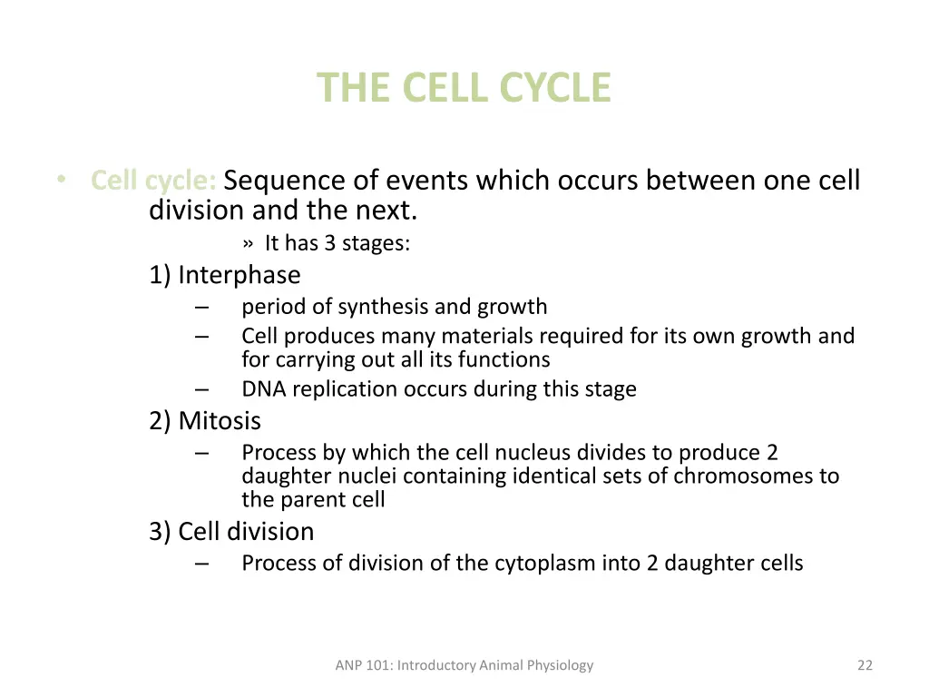 the cell cycle