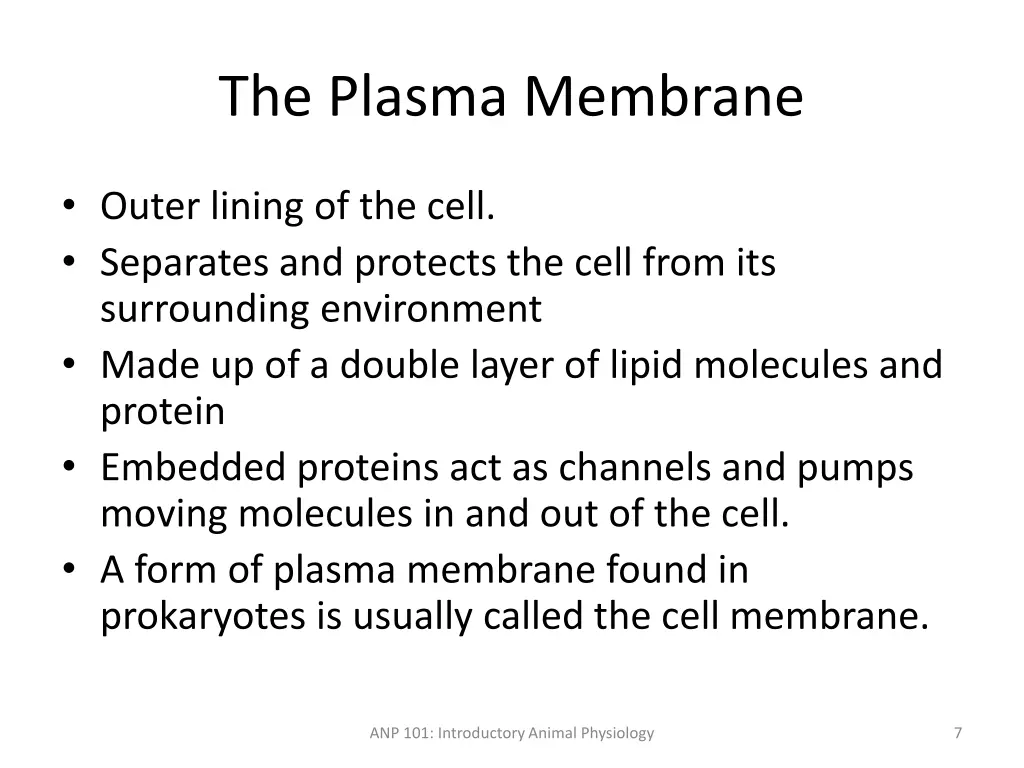 the plasma membrane