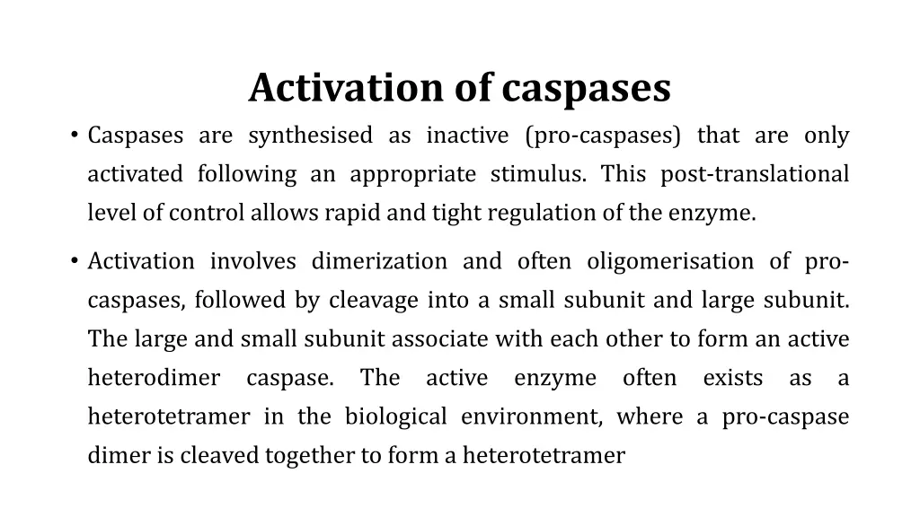 activation of caspases caspases are synthesised