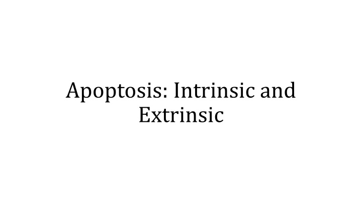 apoptosis intrinsic and extrinsic