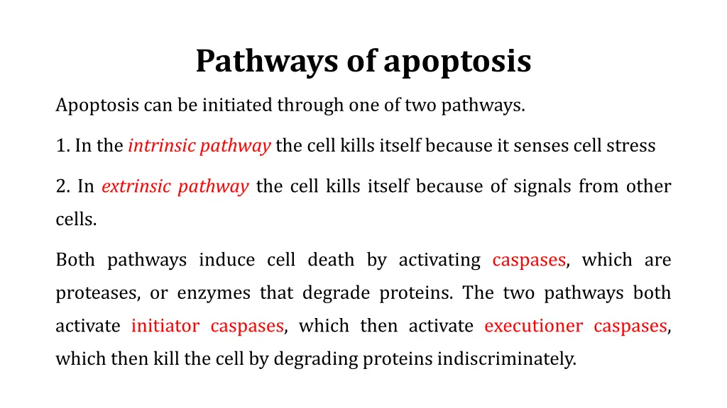 pathways of apoptosis