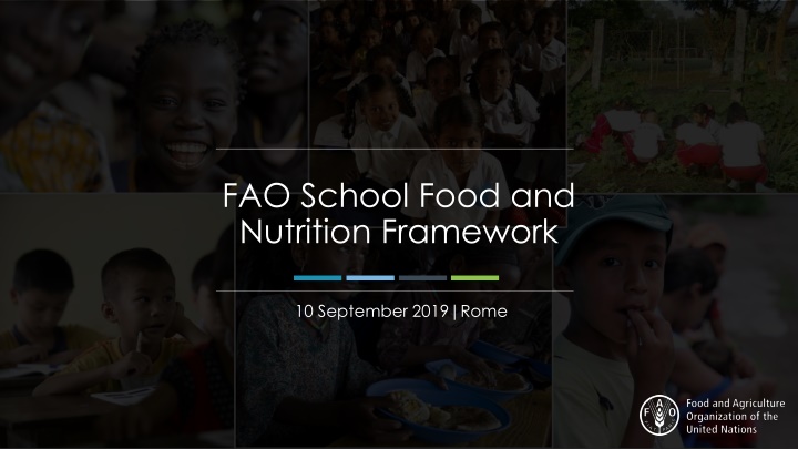 fao school food and nutrition framework