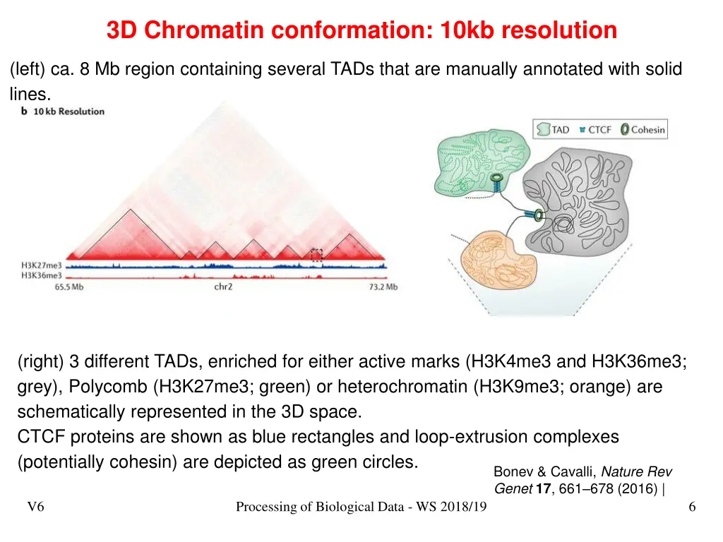 3d chromatin conformation 10kb resolution