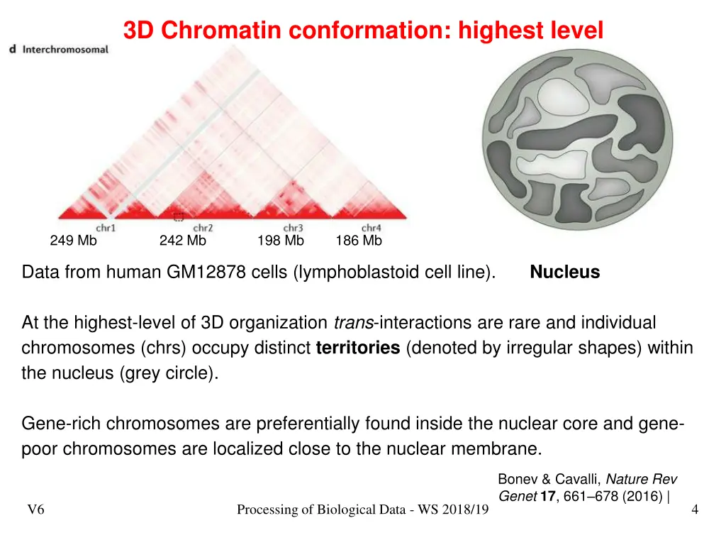 3d chromatin conformation highest level