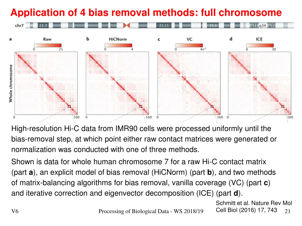 application of 4 bias removal methods full