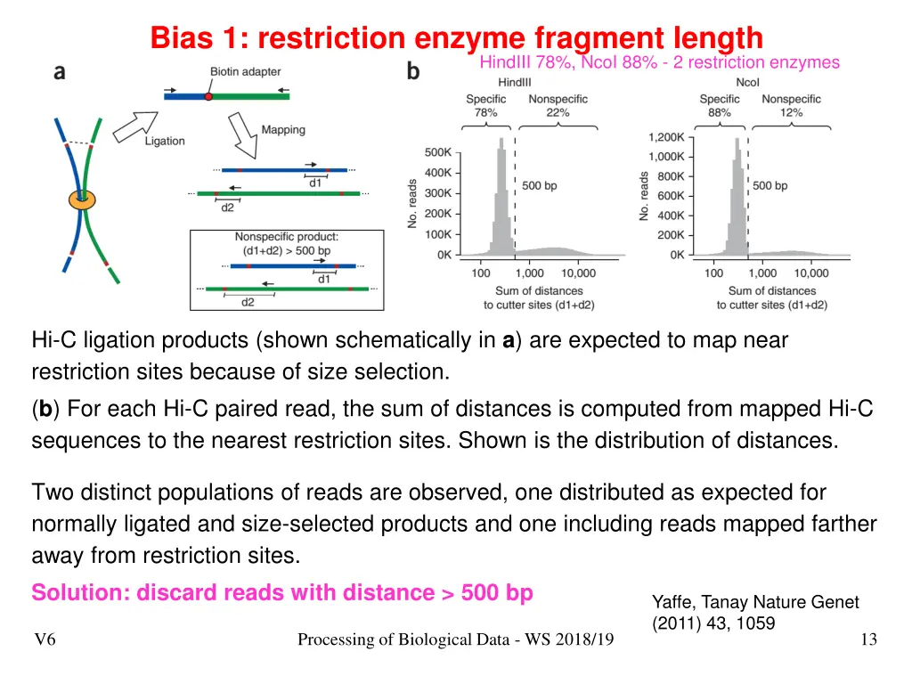 bias 1 restriction enzyme fragment length