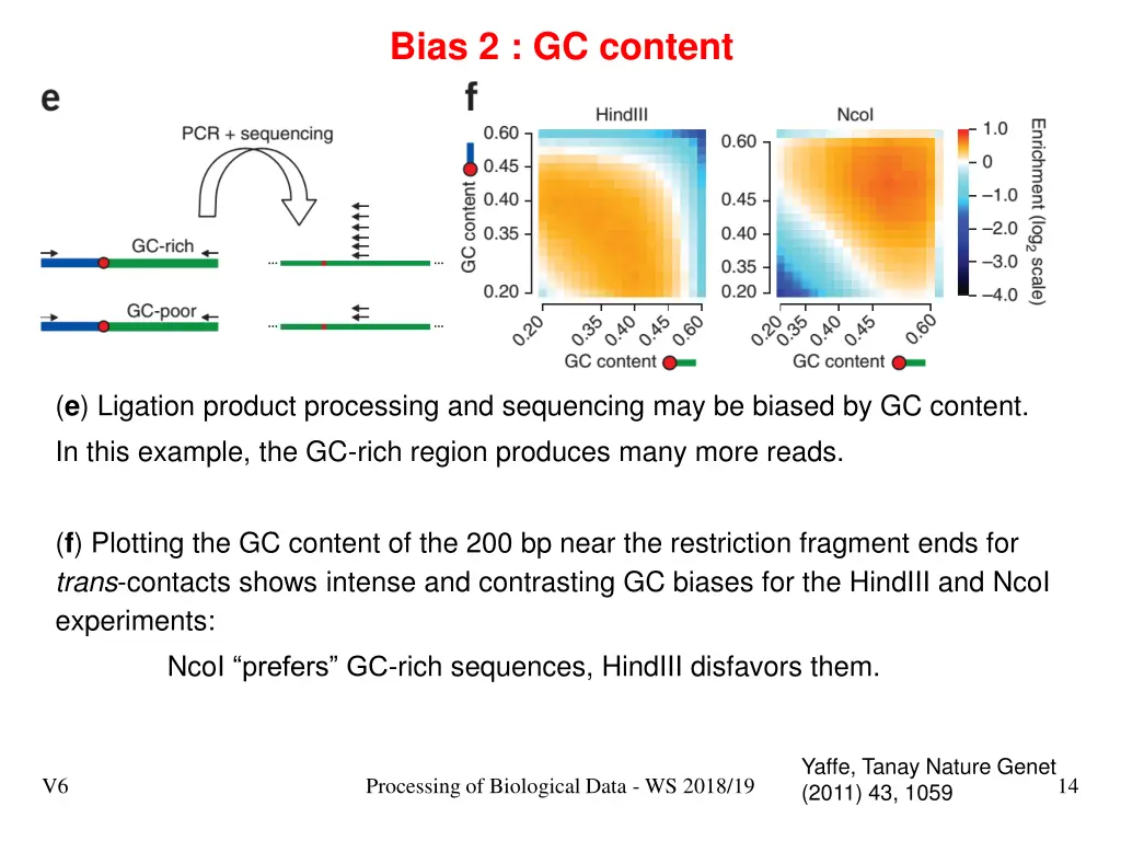 bias 2 gc content