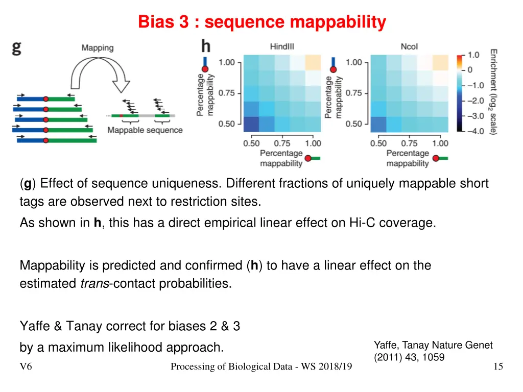 bias 3 sequence mappability