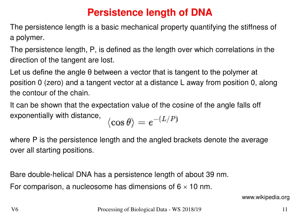 persistence length of dna