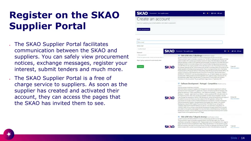 register on the skao supplier portal