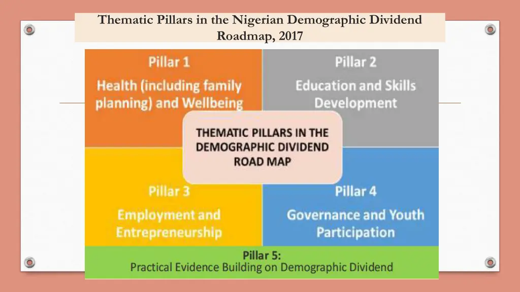 thematic pillars in the nigerian demographic