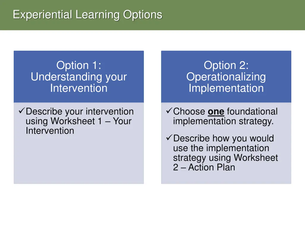 experiential learning options