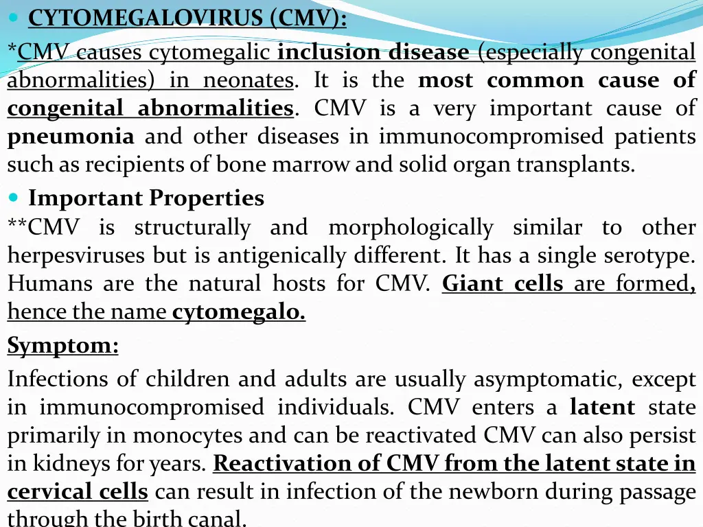 cytomegalovirus cmv cmv causes cytomegalic