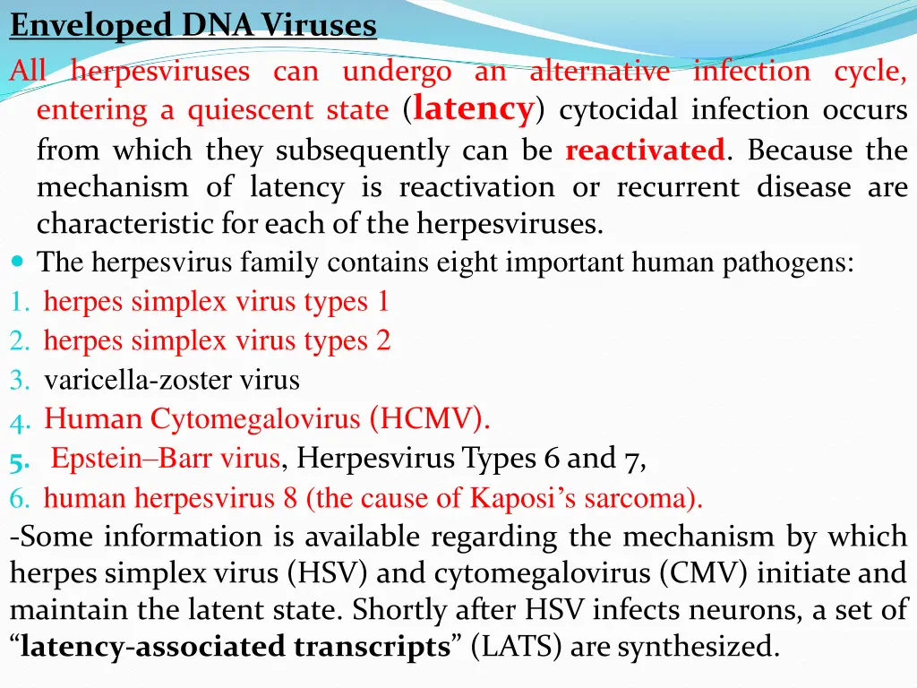 enveloped dna viruses all herpesviruses