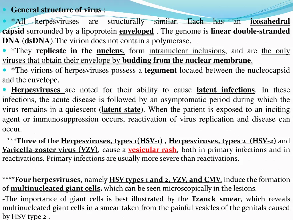 general structure of virus all herpesviruses