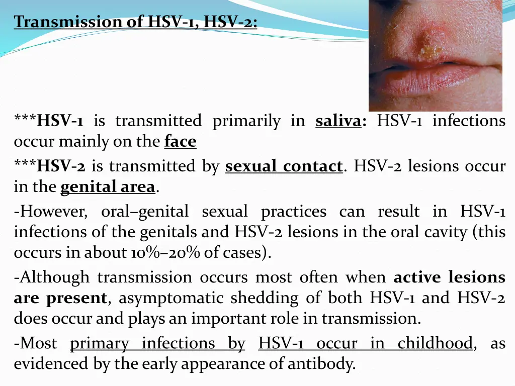 transmission of hsv 1 hsv 2