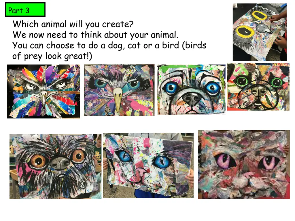 part 3 which animal will you create we now need