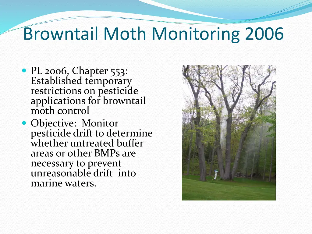 browntail moth monitoring 2006