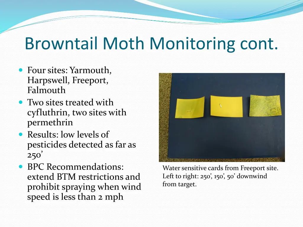 browntail moth monitoring cont