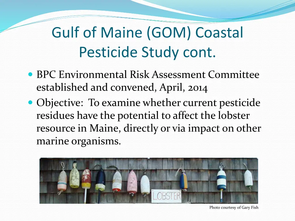 gulf of maine gom coastal pesticide study cont