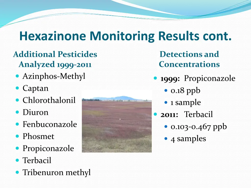 hexazinone monitoring results cont