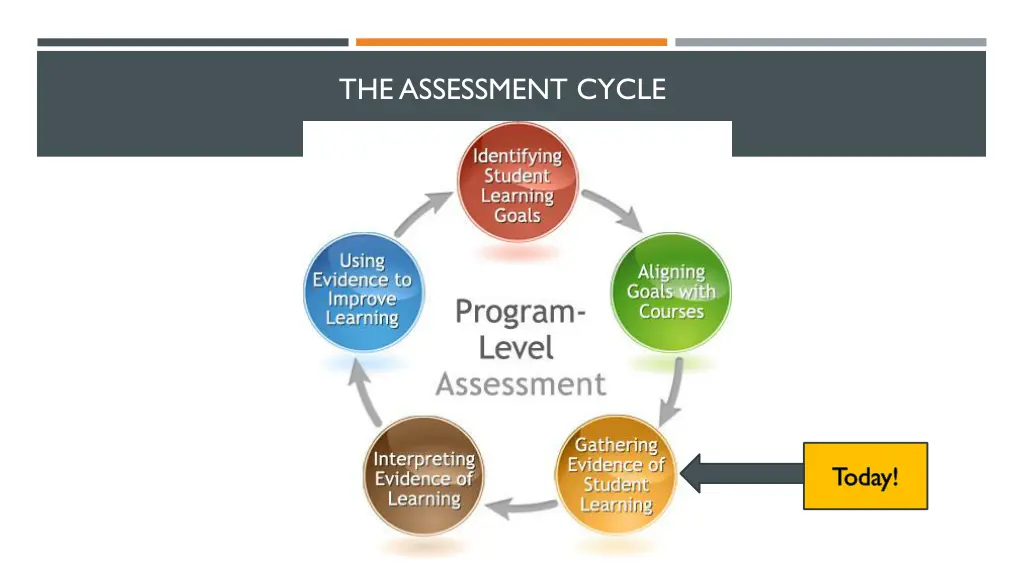 the assessment cycle