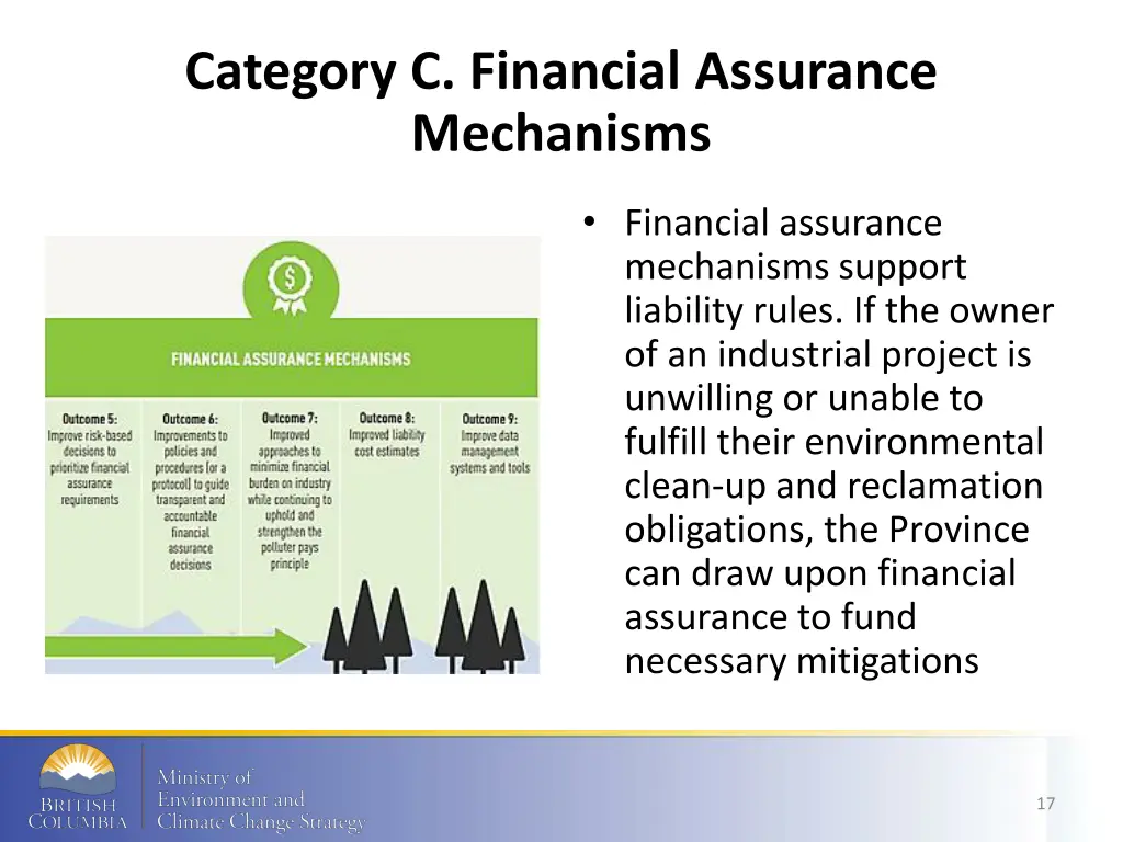 category c financial assurance mechanisms