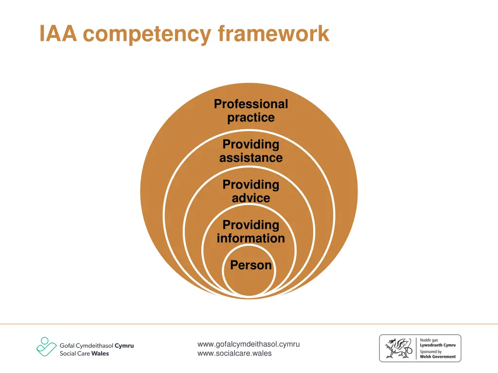 iaa competency framework