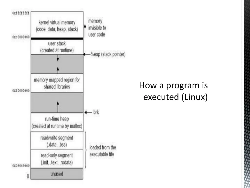 how a program is executed linux