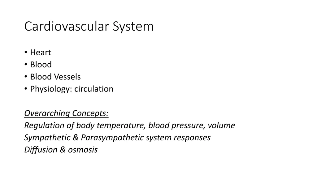 cardiovascular system