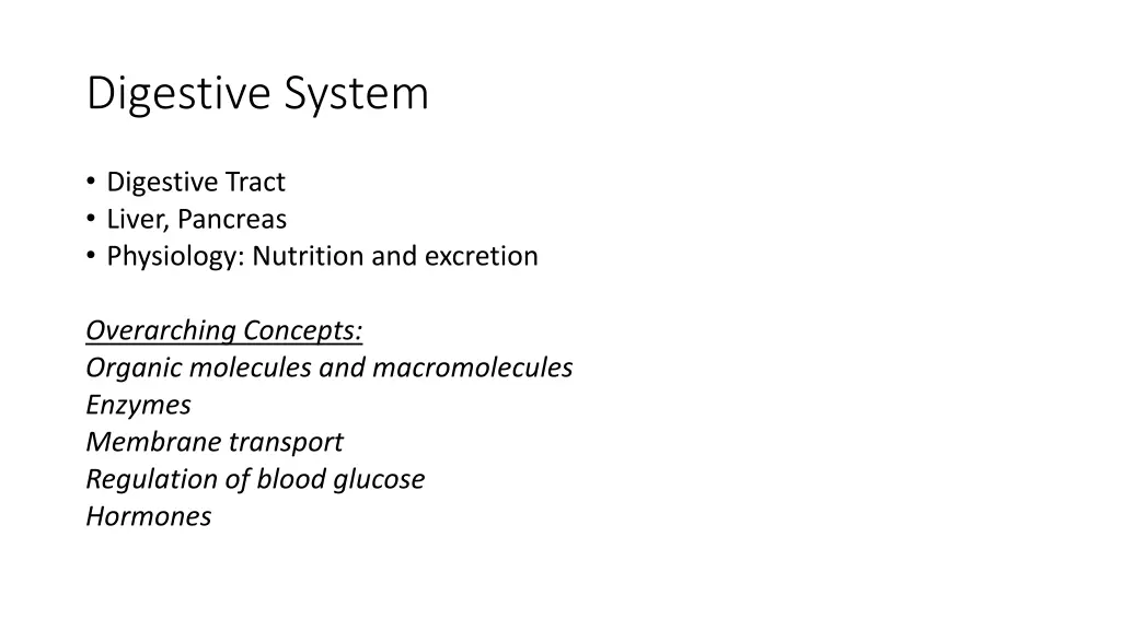 digestive system