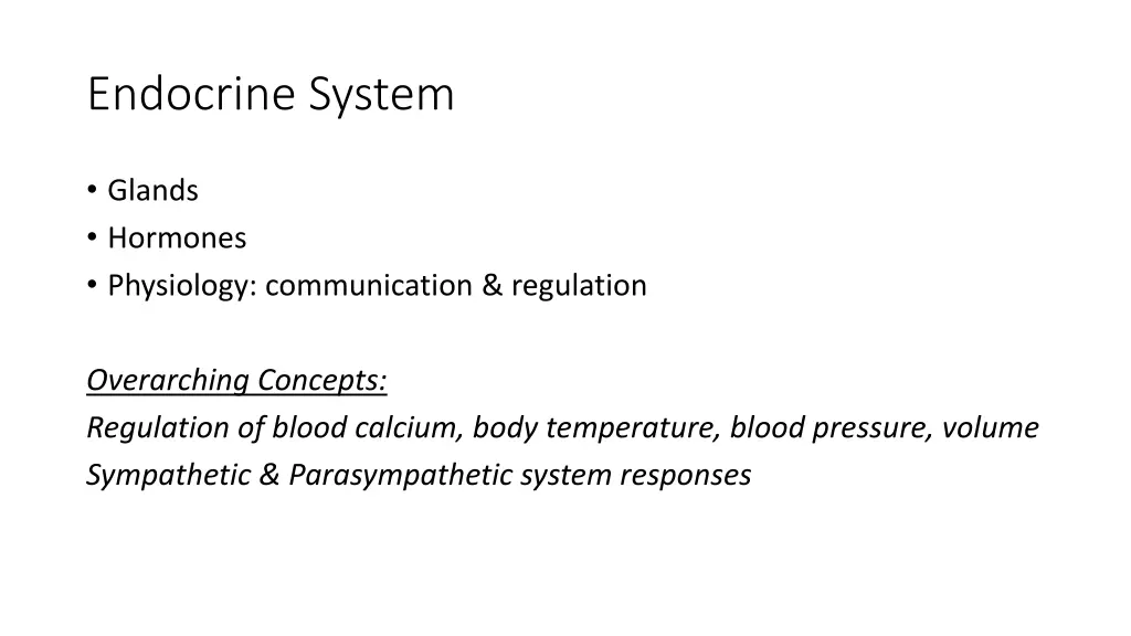 endocrine system