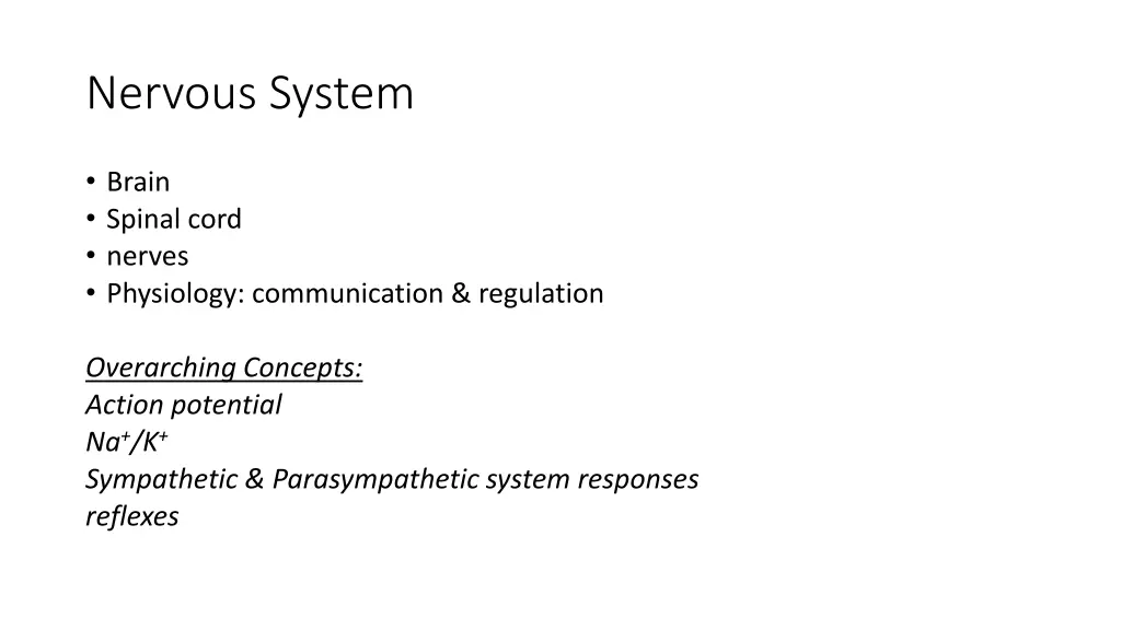 nervous system