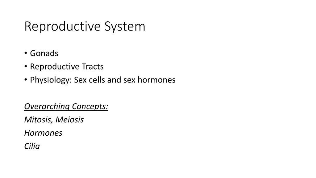 reproductive system