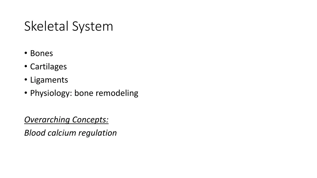 skeletal system