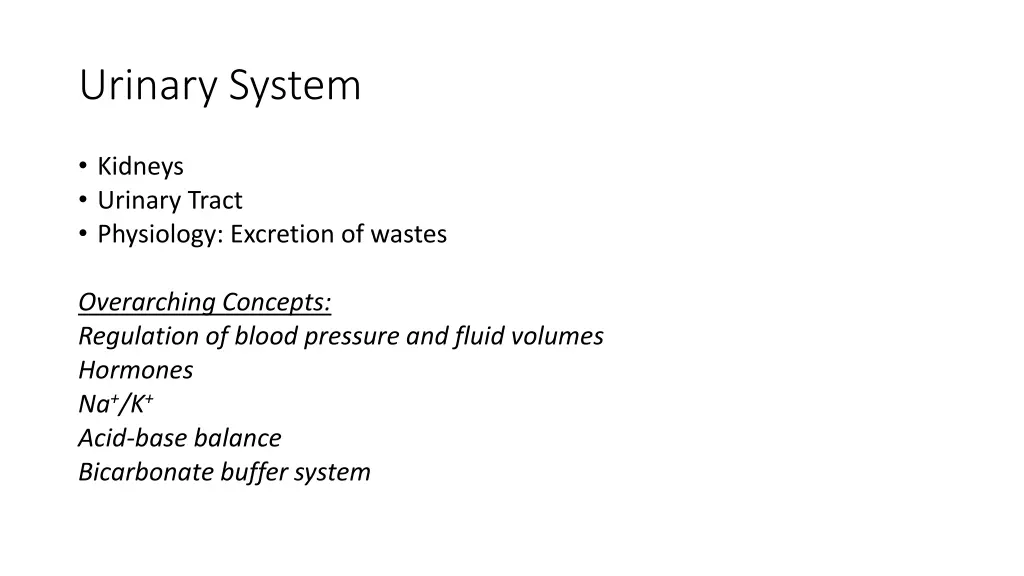 urinary system