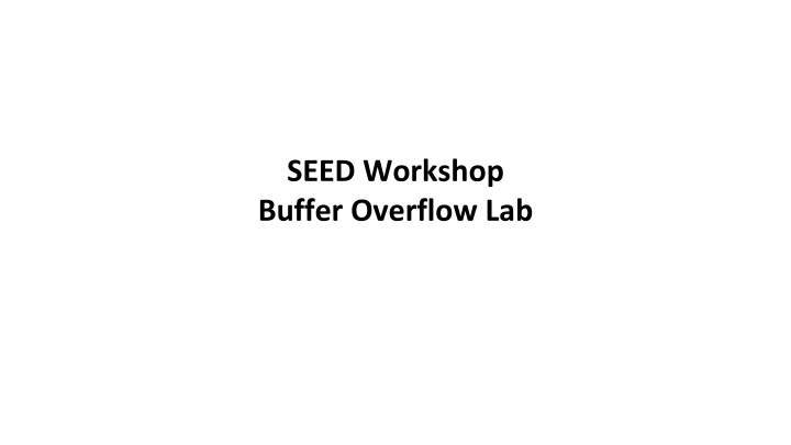 seed workshop buffer overflow lab