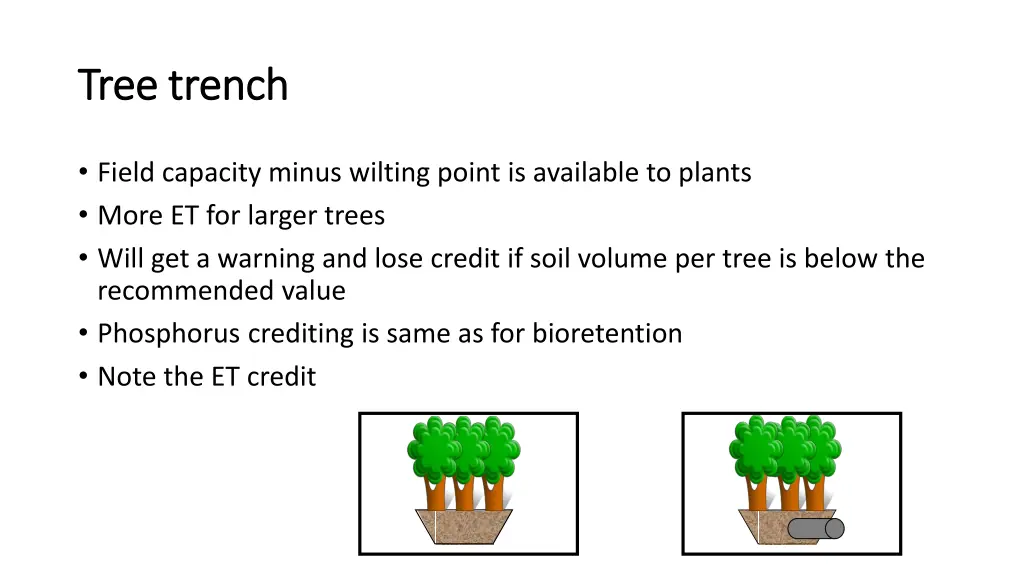 tree trench tree trench