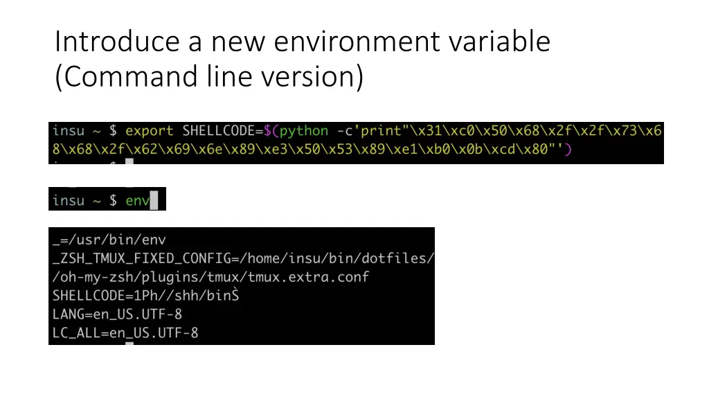 introduce a new environment variable command line