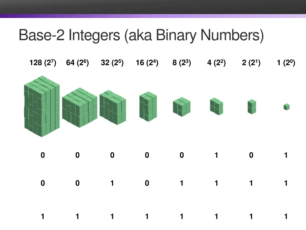 base 2 integers aka binary numbers